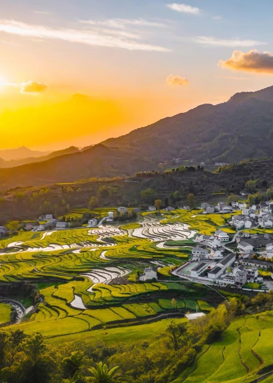 TFFb, 安康将在 TFFb, 安康将在